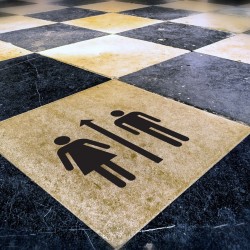 Floor Vinyl