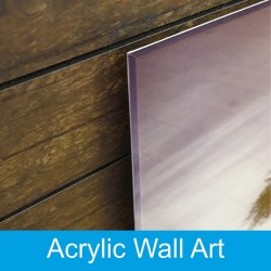 Acrylic Wall art